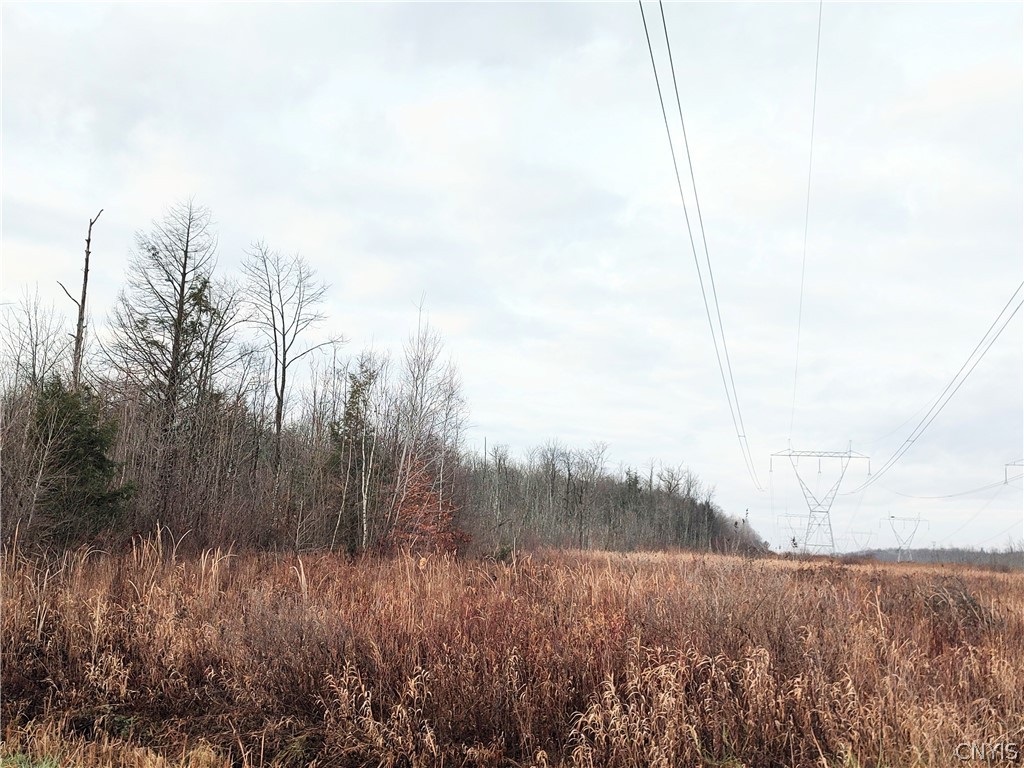 Stephens Road Lenox, NY 13032 - Photo 9 of 14