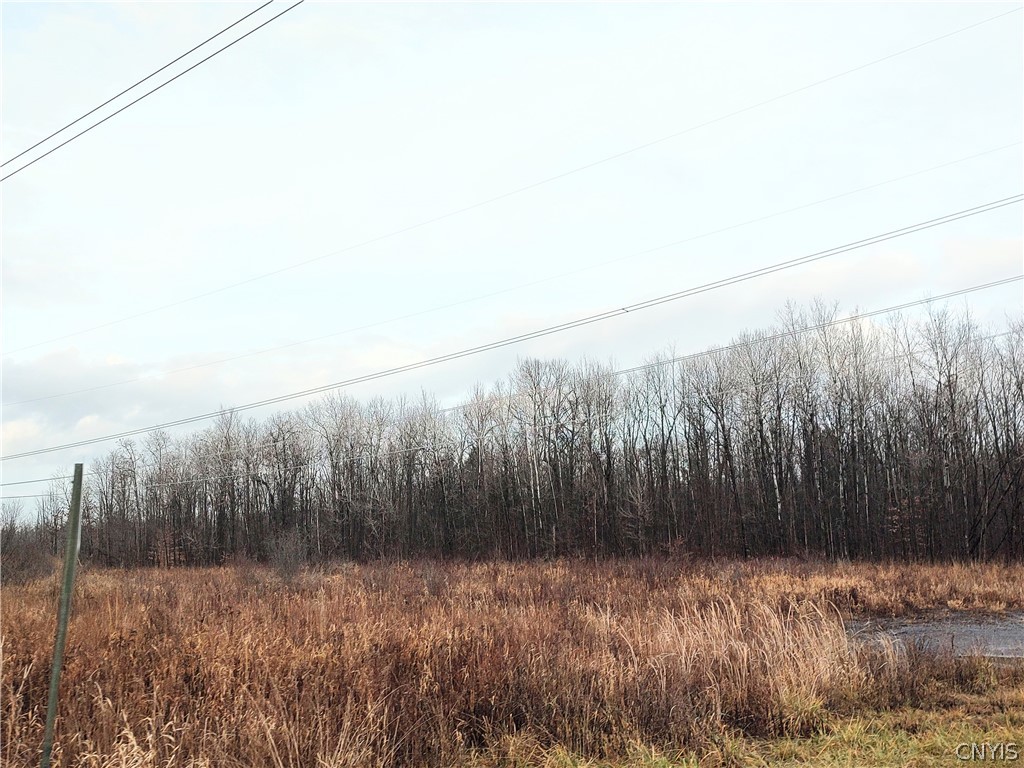 Stephens Road Lenox, NY 13032 - Photo 10 of 14