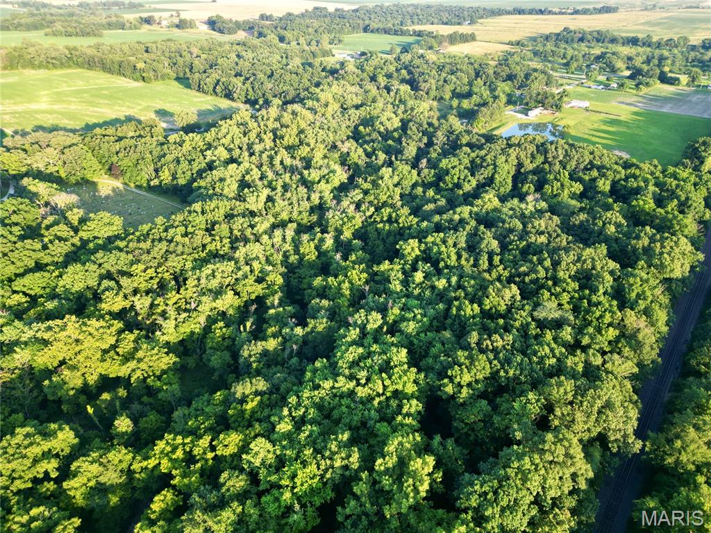 0 County Farm Road Kell, IL 62853 - Photo 6 of 25