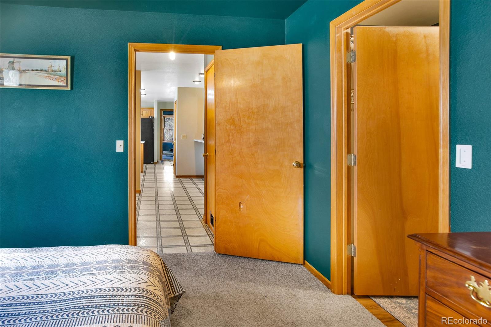 757 Thompson Park Road Fairplay, CO 80440 - Photo 16 of 49 a bedroom with a bed and a walk in closet