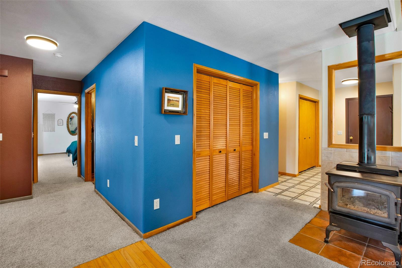 757 Thompson Park Road Fairplay, CO 80440 - Photo 17 of 49