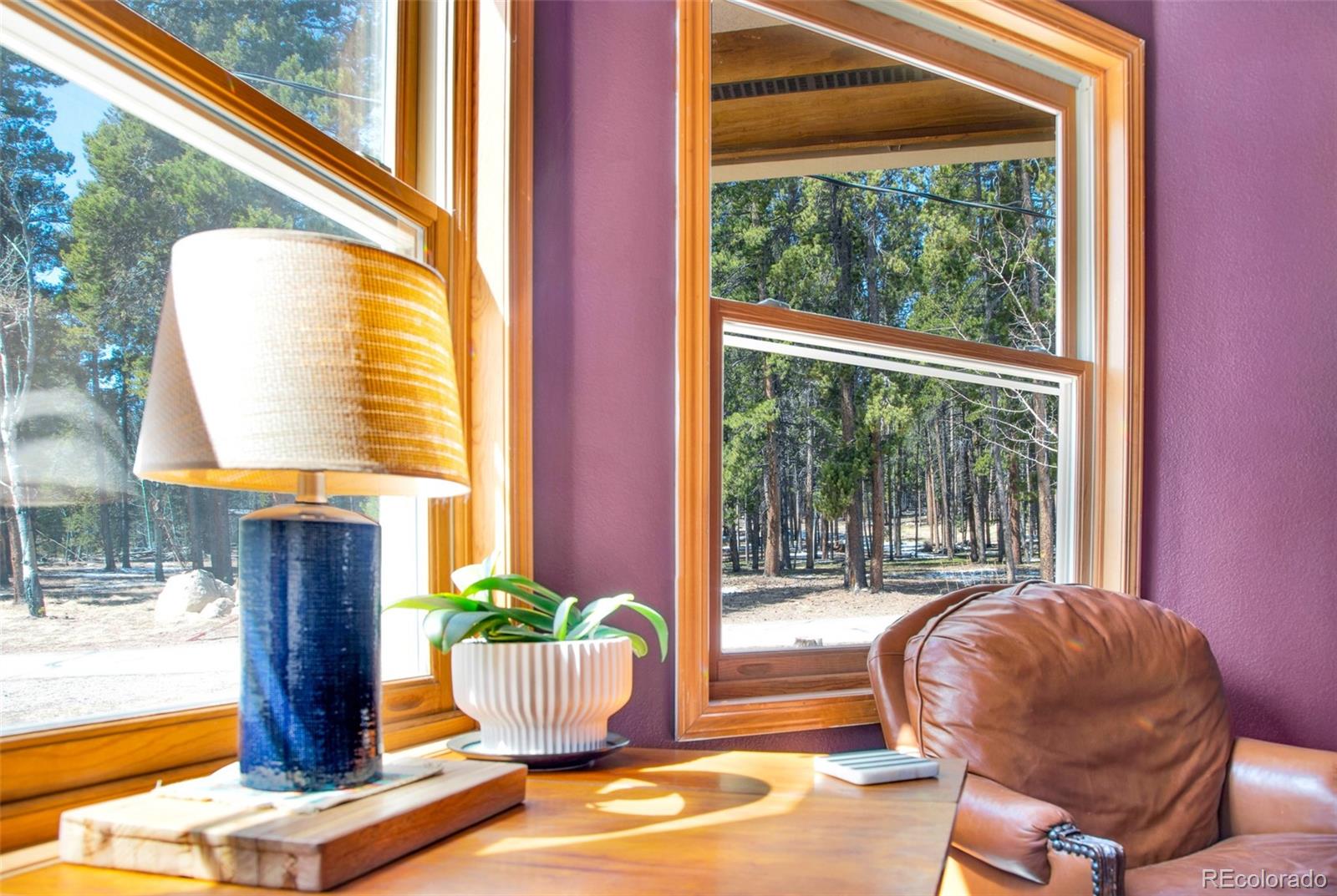 757 Thompson Park Road Fairplay, CO 80440 - Photo 20 of 49 a view of entryway and hall with wooden floor