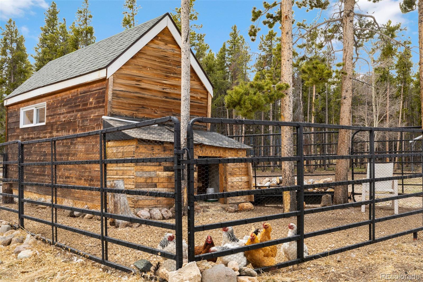 757 Thompson Park Road Fairplay, CO 80440 - Photo 37 of 49 a view of a house with a small yard