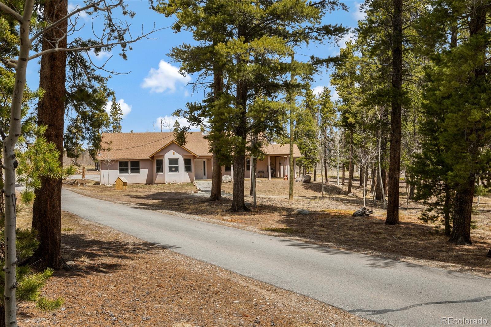 757 Thompson Park Road Fairplay, CO 80440 - Photo 46 of 49 a front view of a house with a yard and garage
