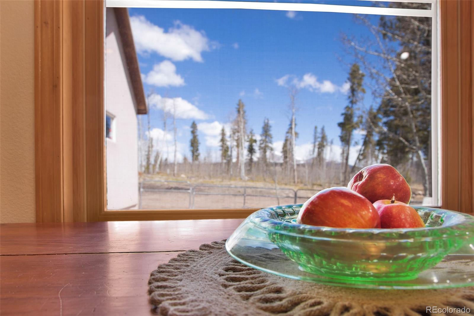 757 Thompson Park Road Fairplay, CO 80440 - Photo 6 of 49 a view of a interior of the house