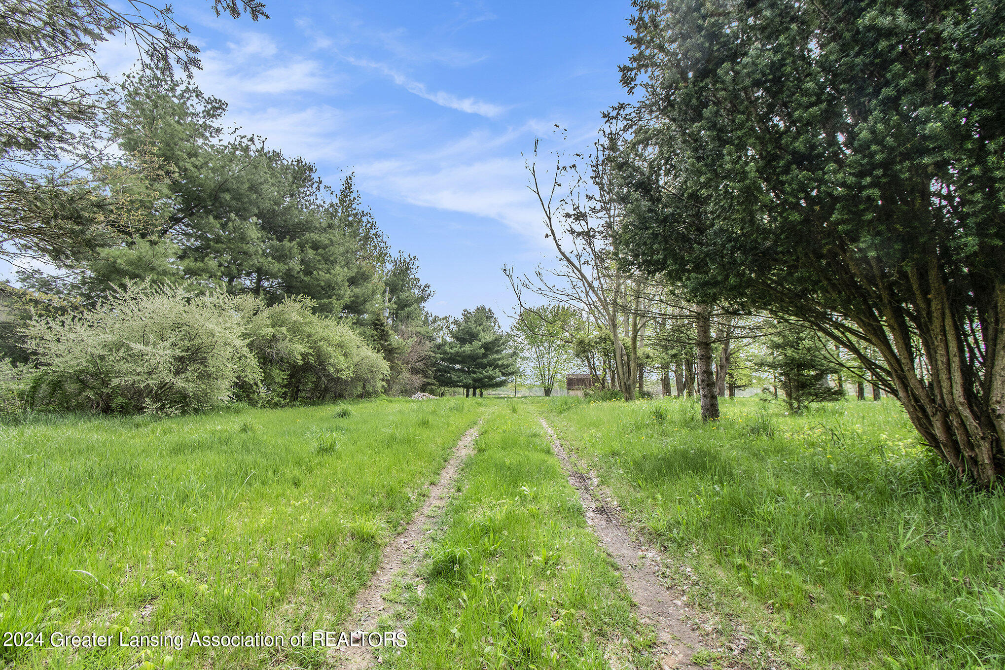 4375 Williamston Road Stockbridge, MI 49285 - Photo 11 of 17 010__ndp3639