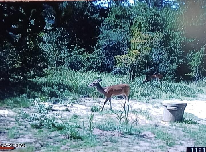 11122 Lawrence Road Fountain, FL 32438 - Photo 33 of 34