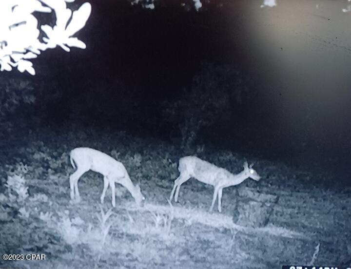 11122 Lawrence Road Fountain, FL 32438 - Photo 34 of 34