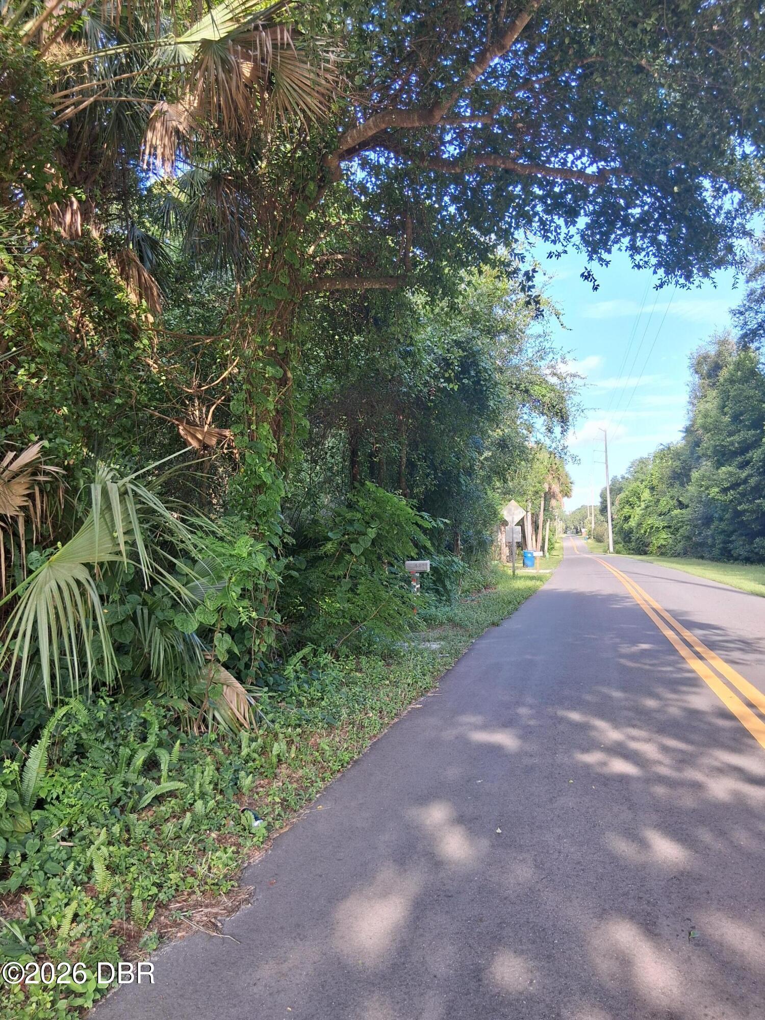 481 Shell Harbor Road Pierson, FL 32180 - Photo 4 of 15 1000010947