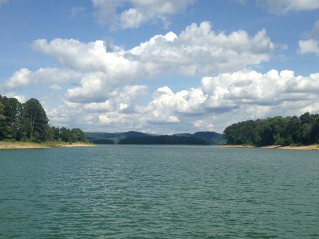 368 Cherokee Cove Rutledge, TN 37861 - Photo 17 of 24 photo-1