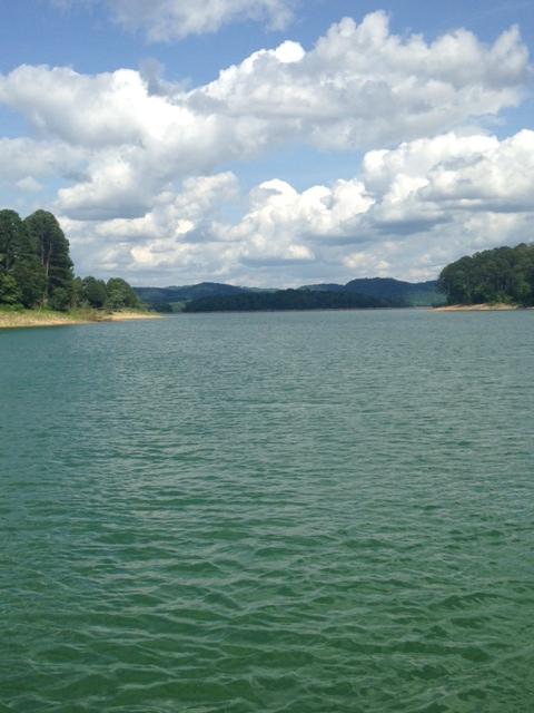 368 Cherokee Cove Rutledge, TN 37861 - Photo 18 of 24 photo-2