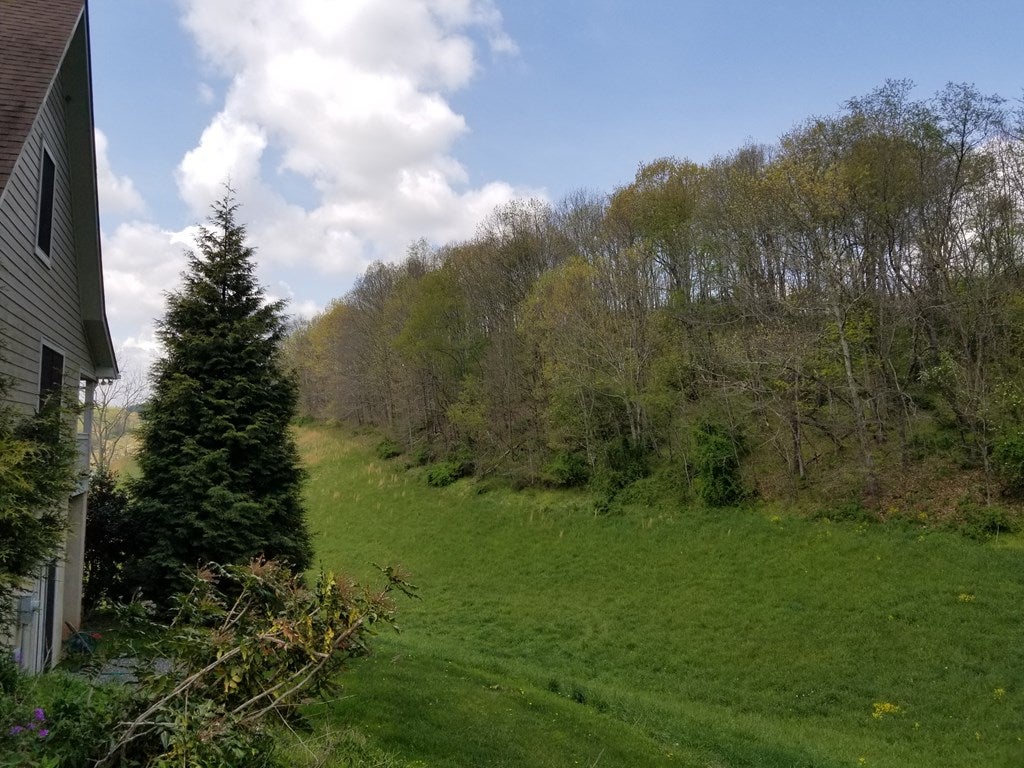 688 Etter Road Rural Retreat, VA 24368 - Photo 8 of 72 Gallery Image 8