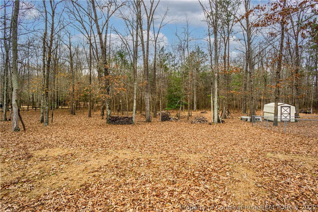5993 Rockfish Road Raeford, NC 28376 - Photo 8 of 49 Gallery Image 8