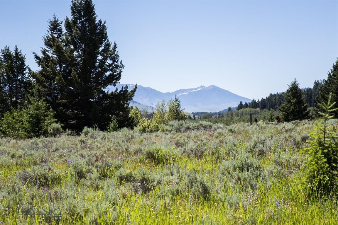 Lot 13 Sun West Ranch Cameron, MT 59720 - Photo 14 of 34 Gallery Image 14