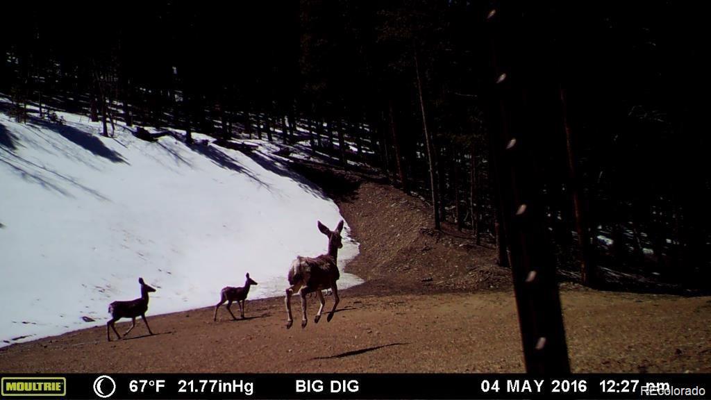 0 Chinook Road Idaho Springs, CO 80452 - Photo 13 of 37 Gallery Image 13
