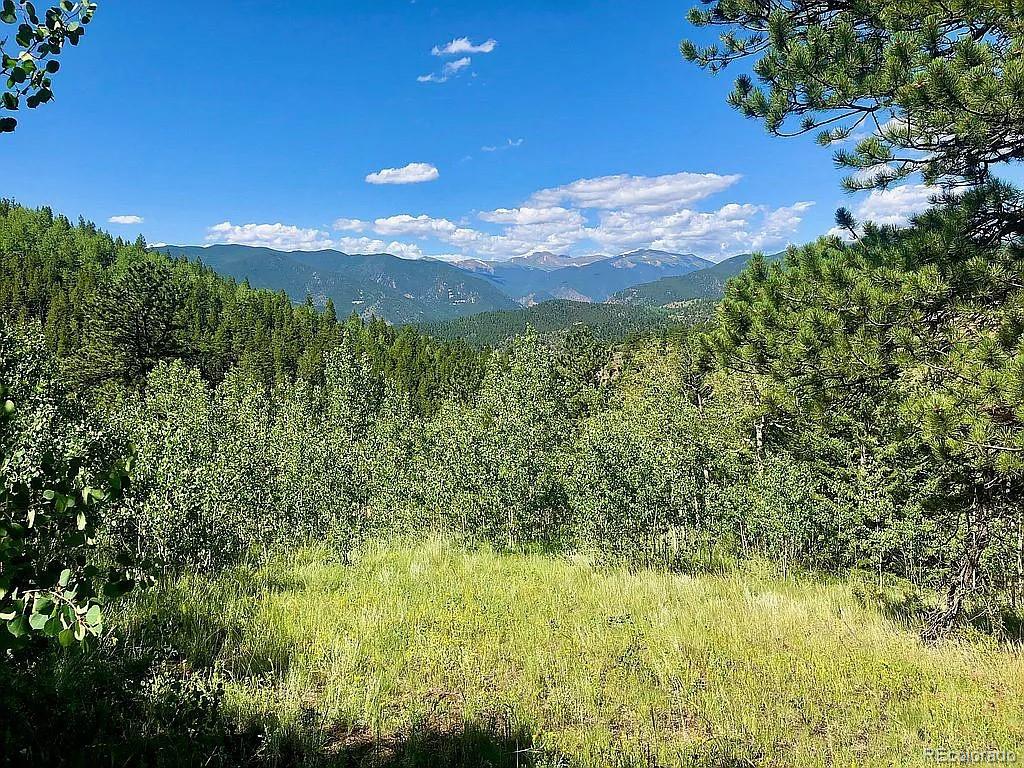 0 Chinook Road Idaho Springs, CO 80452 - Photo 14 of 37 Gallery Image 14
