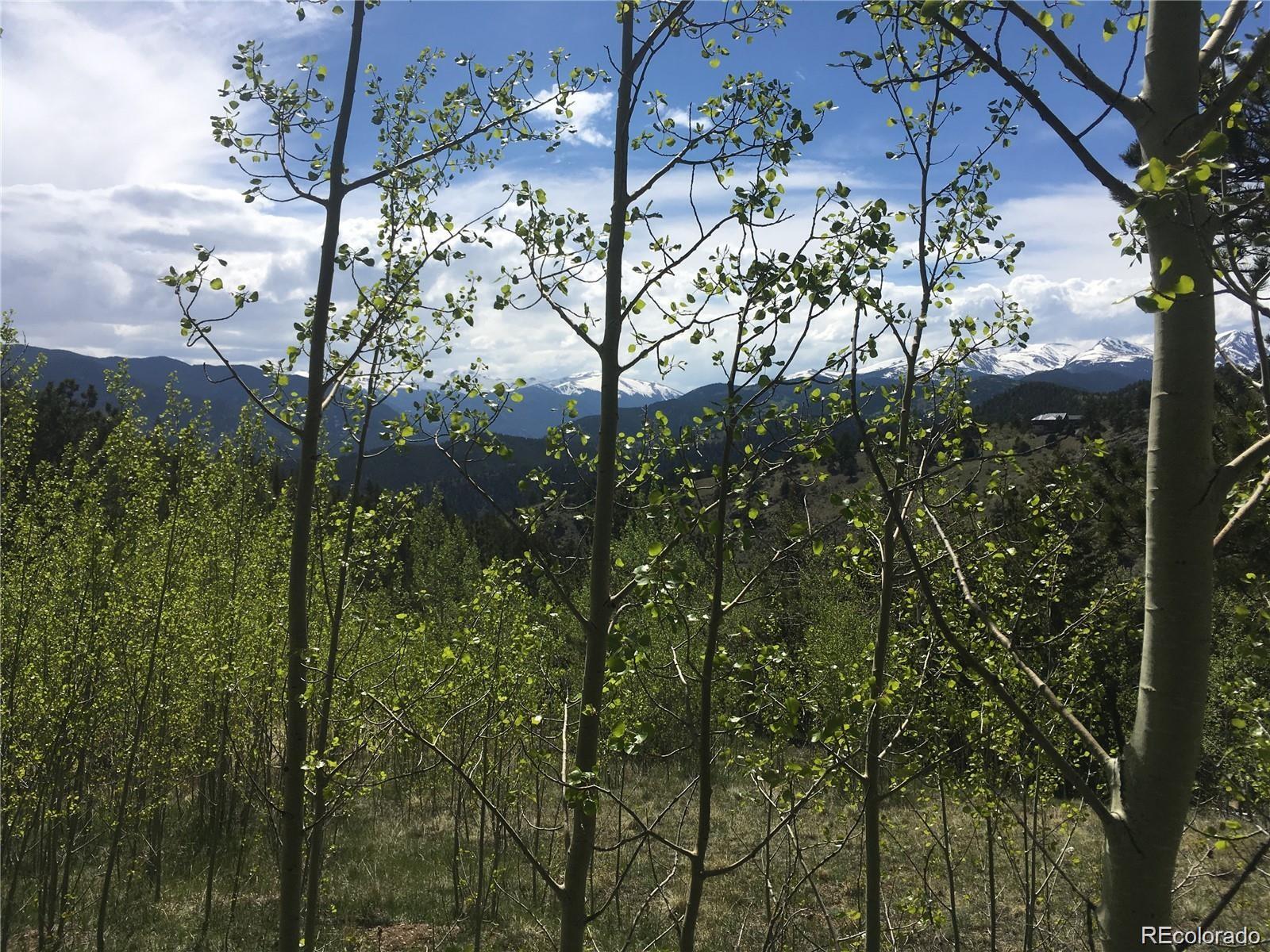 0 Chinook Road Idaho Springs, CO 80452 - Photo 21 of 37 Gallery Image 21