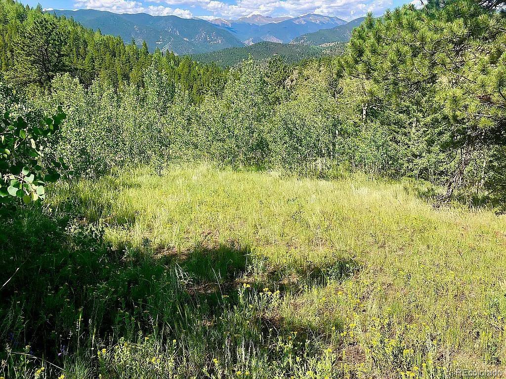 0 Chinook Road Idaho Springs, CO 80452 - Photo 8 of 37 Gallery Image 8