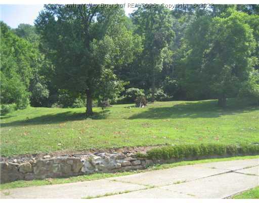 0 Rt 1 Poca, WV 25159 - Photo 12 of 16 Other.