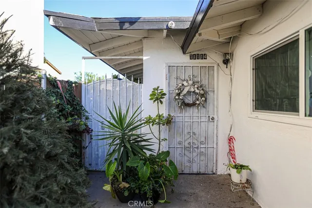 a plant is in front of a house