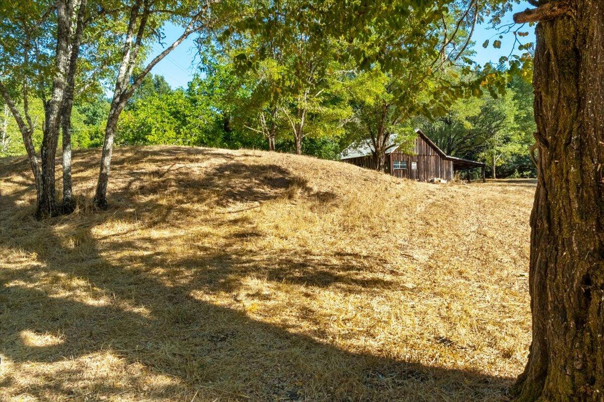 220 Wilder Ridge Road Petrolia, CA 95558 - Photo 46 of 82