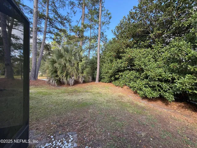 a view of a yard with a tree