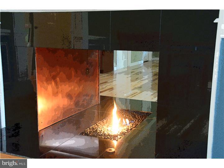 1604 Gypsy Hill Road Ambler, PA 19002 - Photo 16 of 25 Fireplace