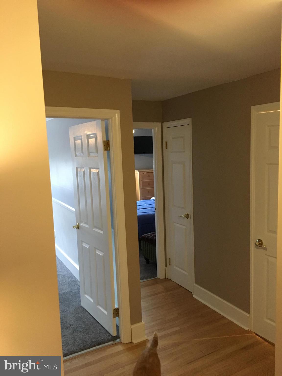 10206 West Keswick Road Philadelphia, PA 19114 - Photo 22 of 35 Gallery Image 22