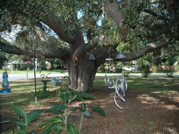 307 Rue Max Street Pensacola, FL 32507 - Photo 30 of 38 Gallery Image 30
