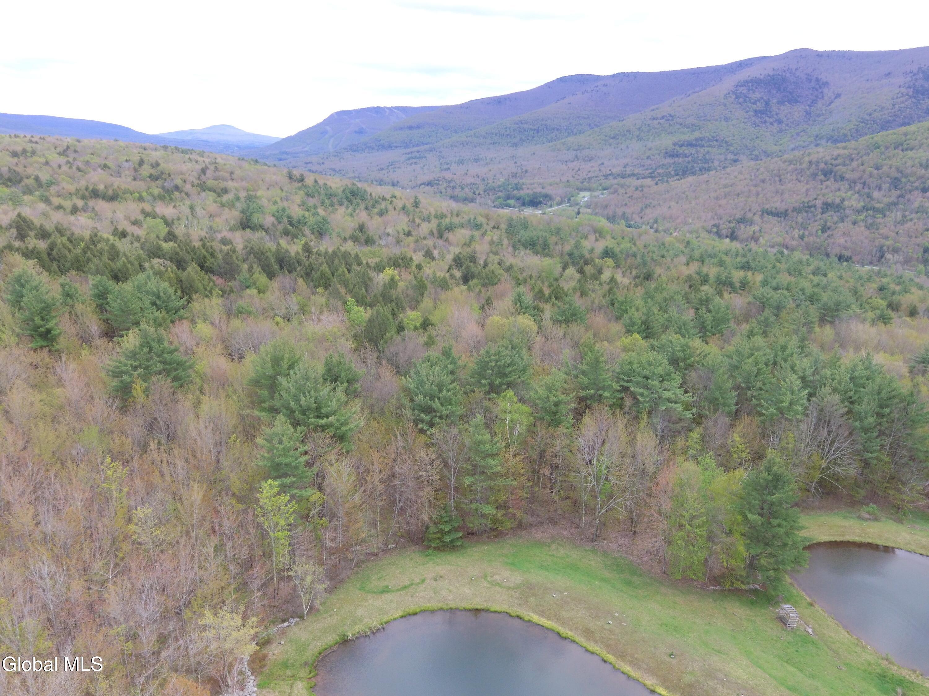184 Cloos Road Hunter, NY 12442 - Photo 74 of 77 DJI_0086