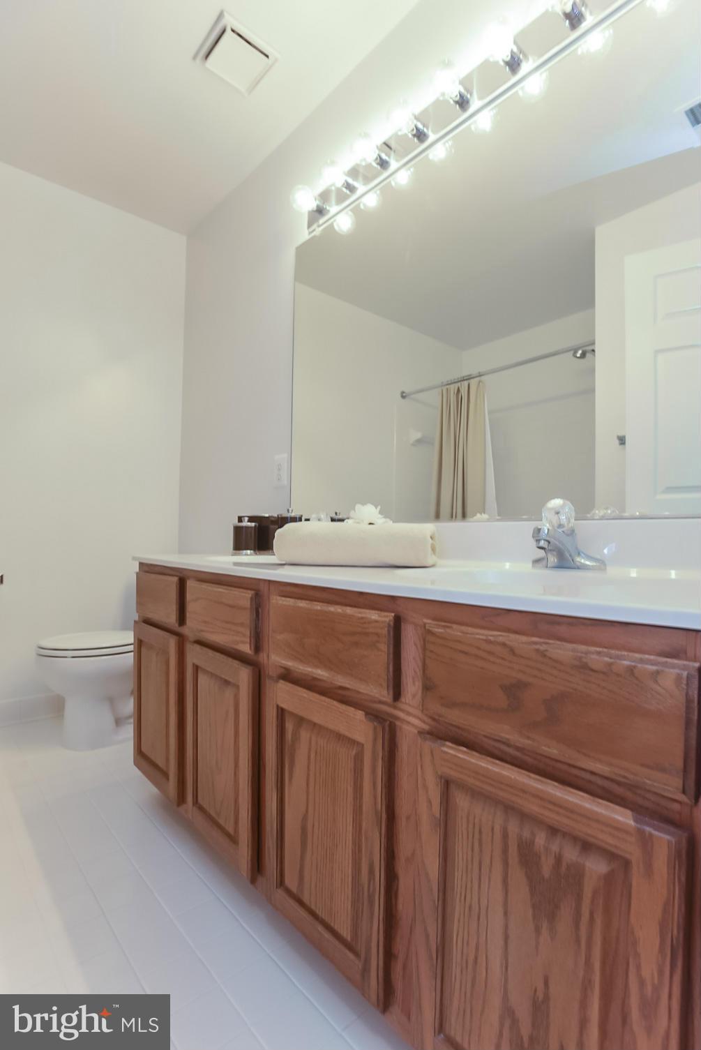 2823 Roesh Way Vienna, VA 22181 - Photo 13 of 22 Bath