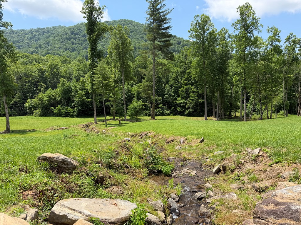 1446 Muskrat Creek Road Hayesville, NC 28904 - Photo 21 of 108