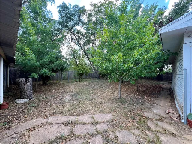 a backyard of a house with lots of plants and large tree