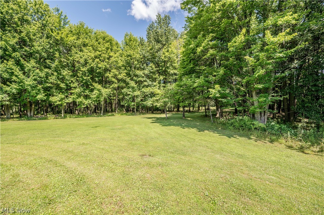 6142 Fairview Road Youngstown, OH 44515 - Photo 45 of 50 Gallery Image 45