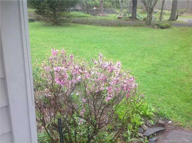 a view of a flower in a yard