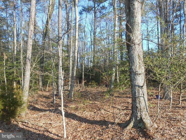 St Georges Church Road Callaway, MD 20620 - Photo 1 of 1 Exterior (General)
