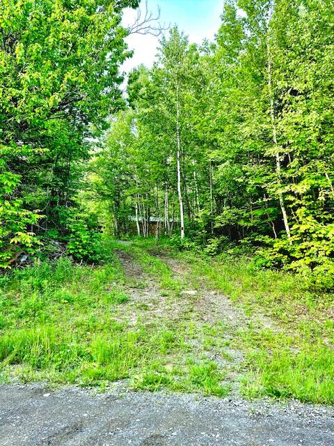 Lot 2 South Oakfield Road Oakfield, ME 04763 - Photo 15 of 37 4066324808542696980
