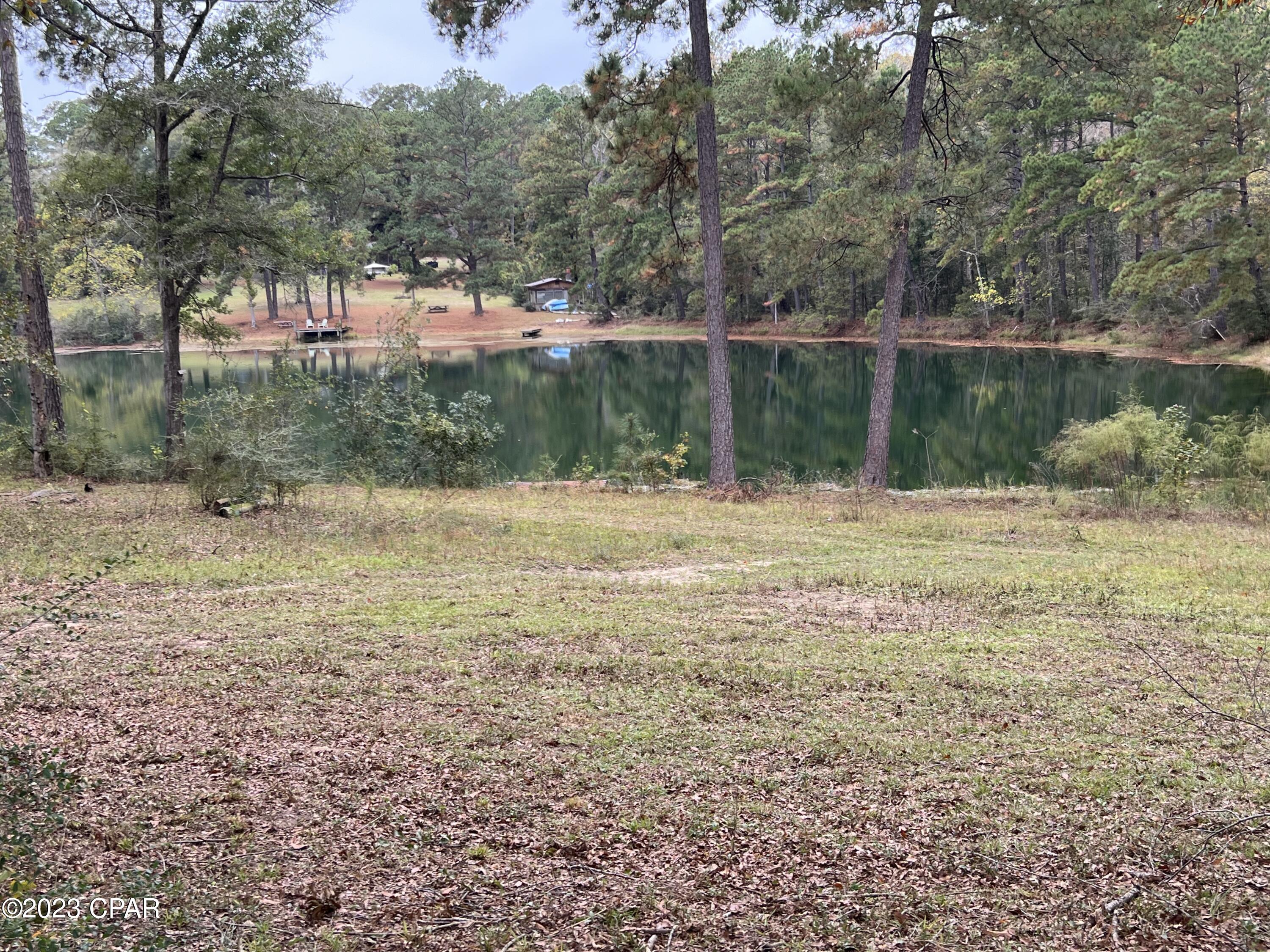 3354 Spring Lakes Drive Chipley, FL 32428 - Photo 6 of 23 Gallery Image 6