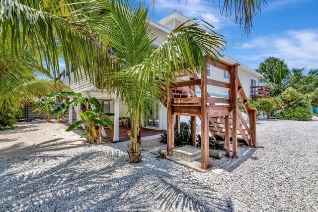 a view of a palm trees front of house