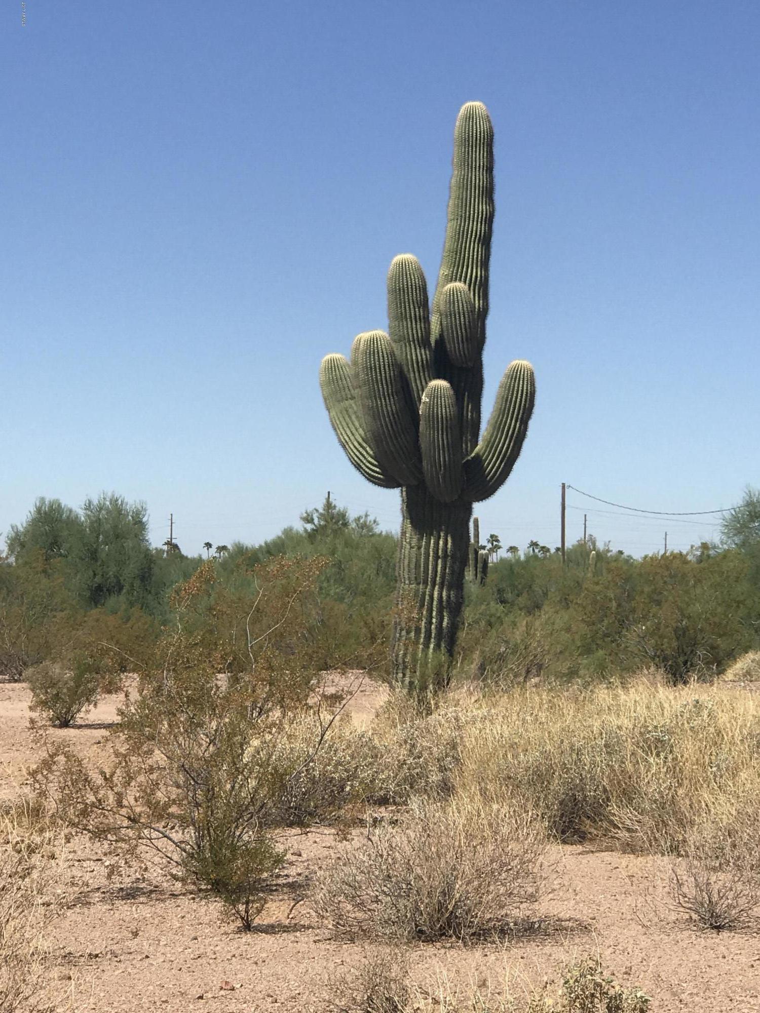 1055 South Tomahawk Road Apache Junction, AZ 85119 - Photo 1 of 15 2017-10-03 11.07.45