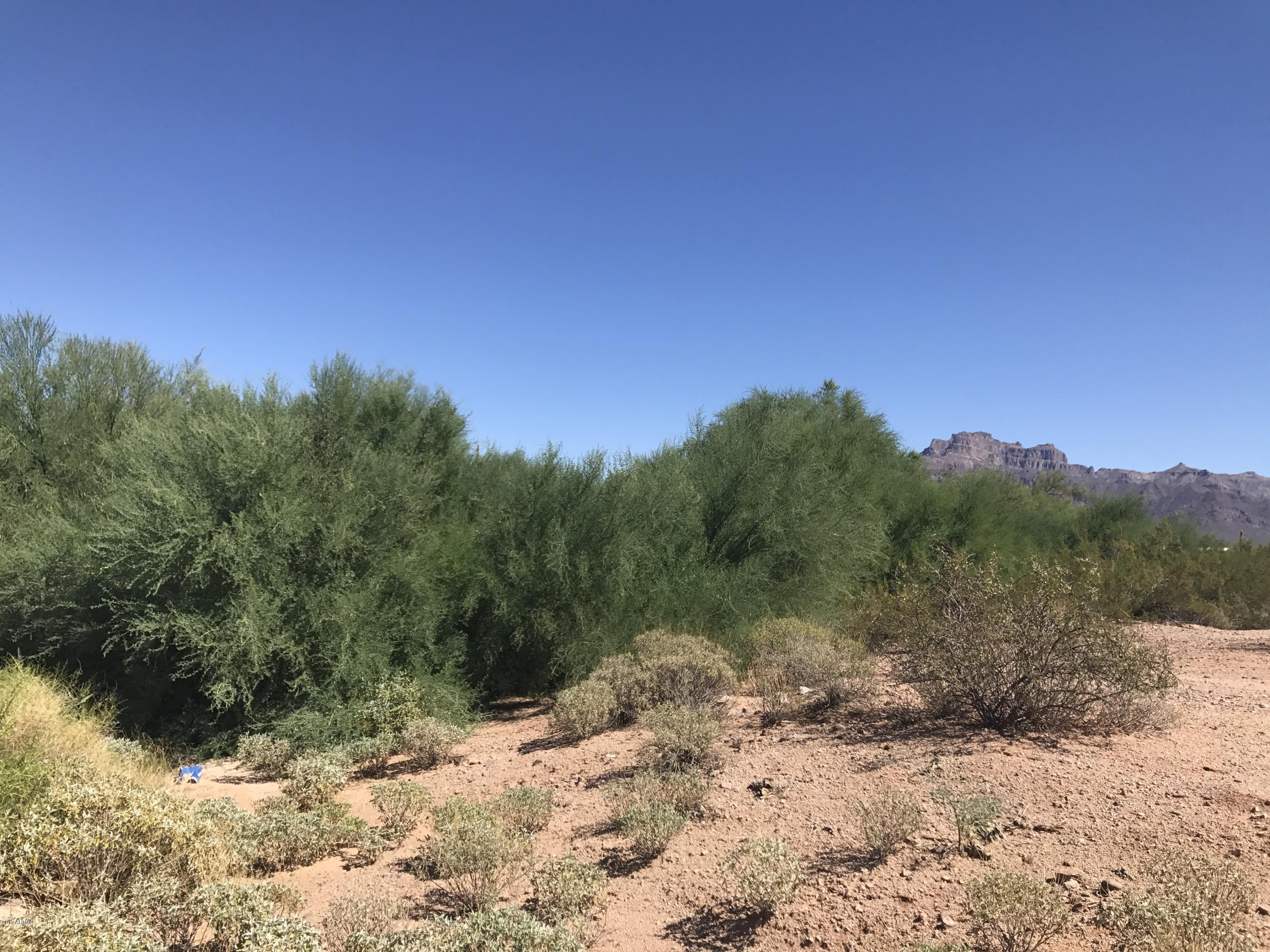 1055 South Tomahawk Road Apache Junction, AZ 85119 - Photo 11 of 15 2017-10-03 11.34.25