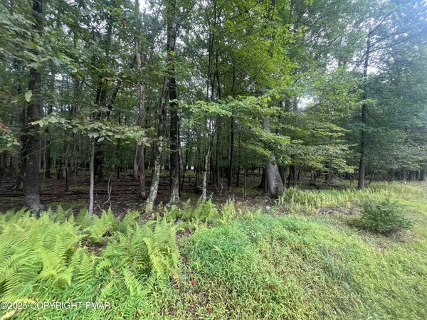 a green field with lots of trees