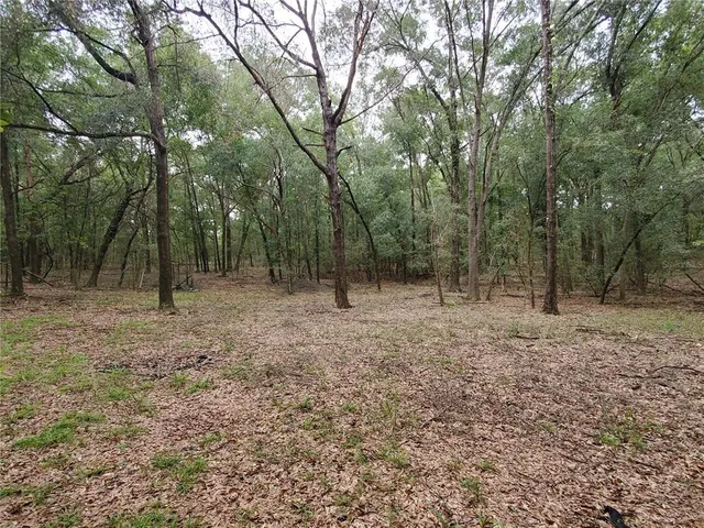 a view of outdoor space with trees