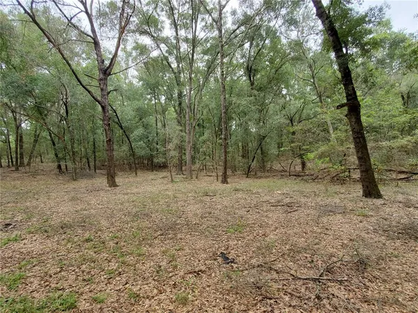 a view of outdoor space with trees