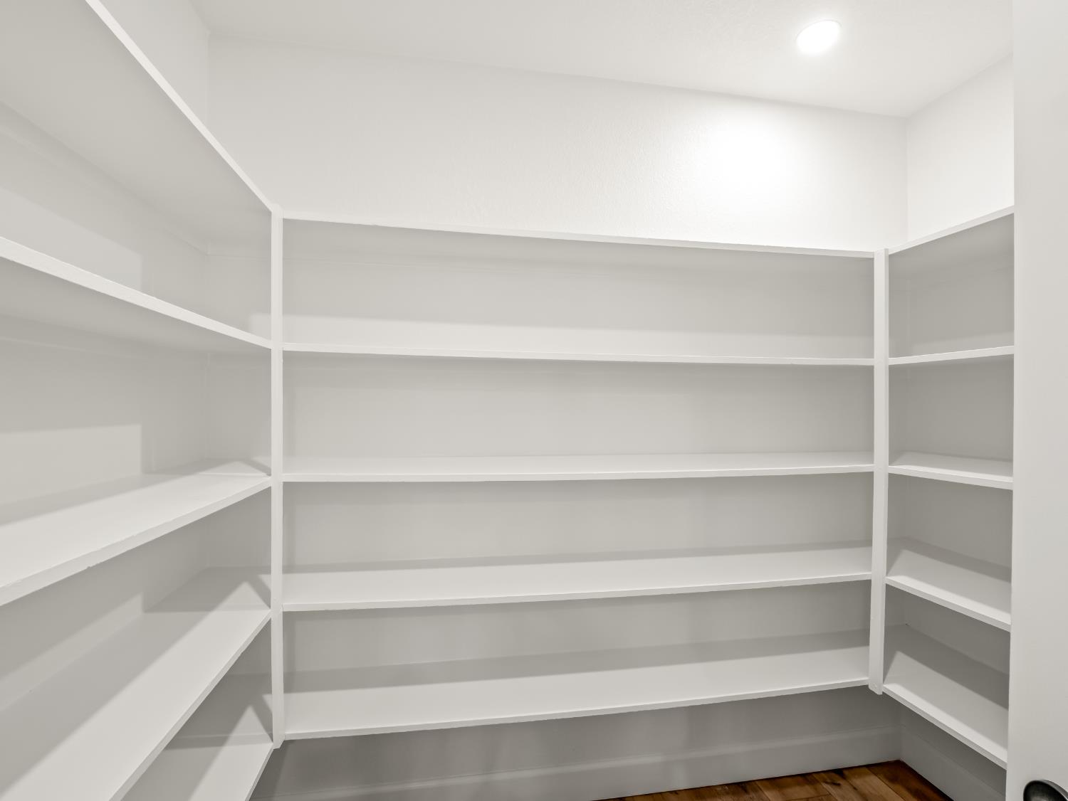 1582 East Revere Road Fresno, CA 93720 - Photo 19 of 48 walk-in pantry from the kitchen
