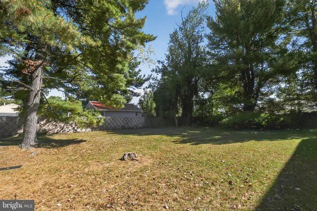 a view of a yard with trees