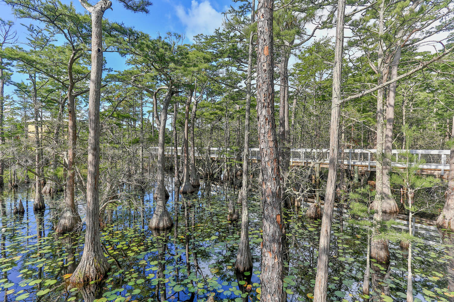147 Cypress Drive Santa Rosa Beach, FL 32459 - Photo 88 of 90 CD (14)