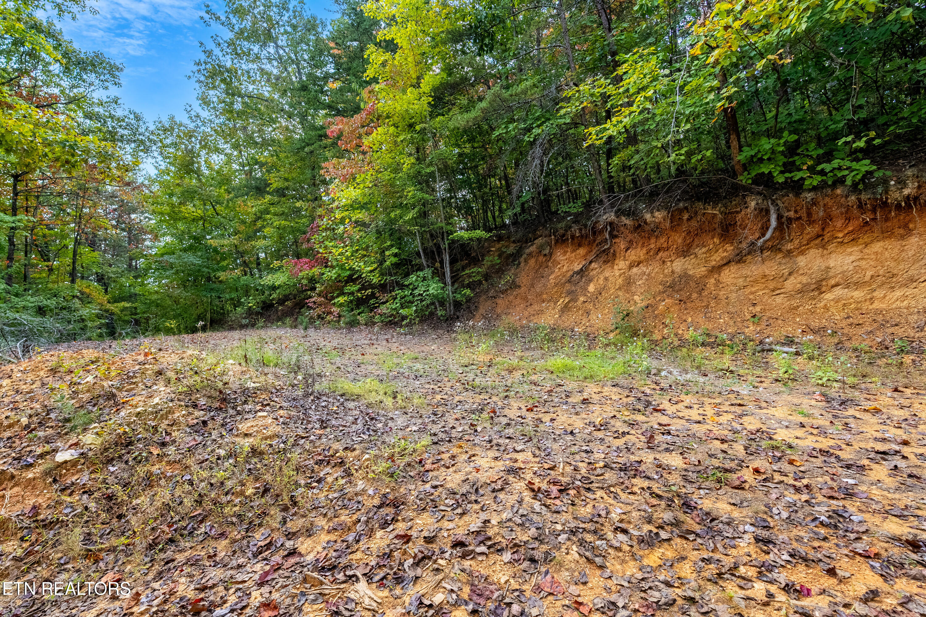 1009 Franklin Way Sevierville, TN 37876 - Photo 15 of 27 DSC00312-HDR
