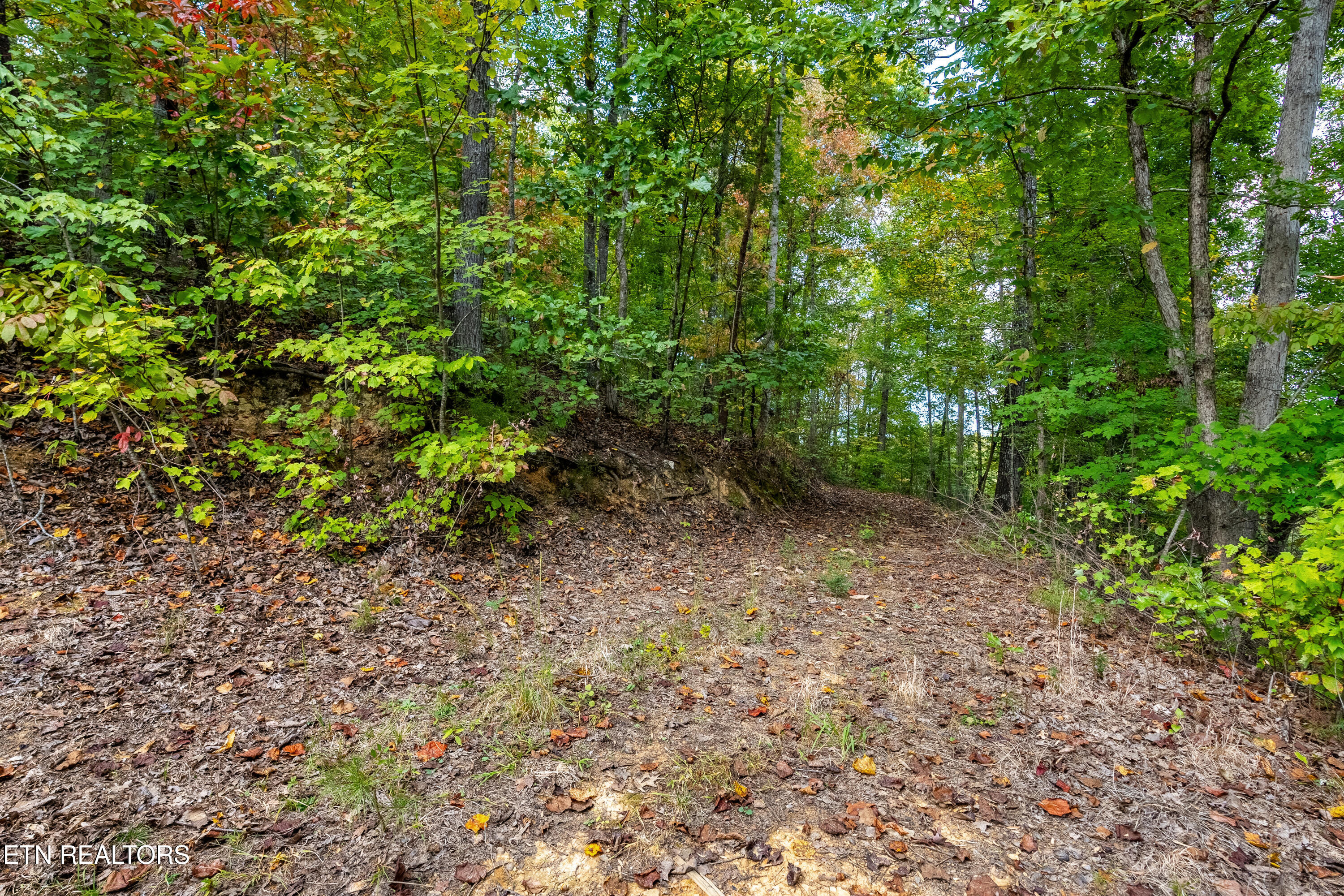 1009 Franklin Way Sevierville, TN 37876 - Photo 16 of 27 DSC00317-HDR