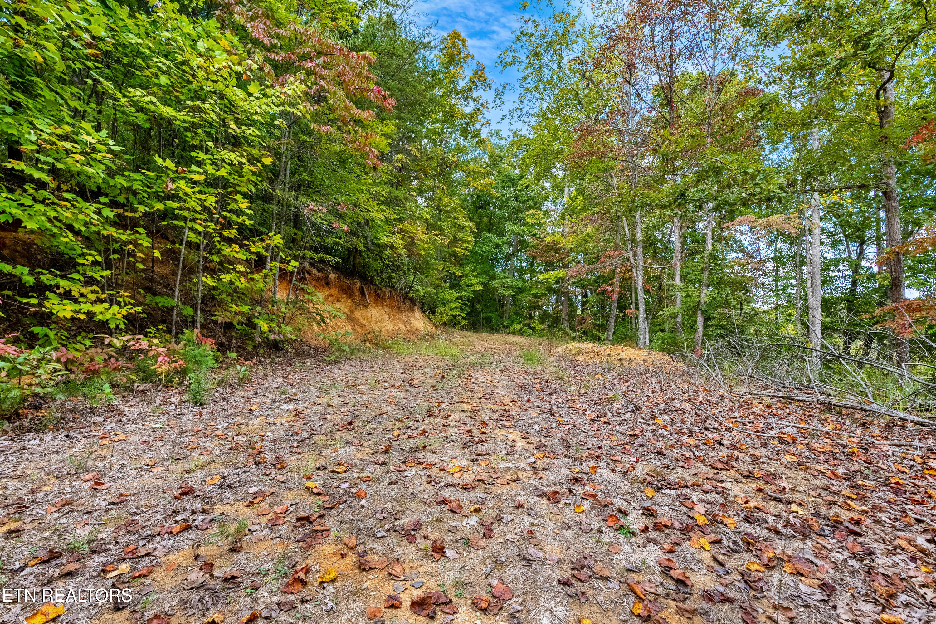 1009 Franklin Way Sevierville, TN 37876 - Photo 17 of 27 DSC00332-HDR